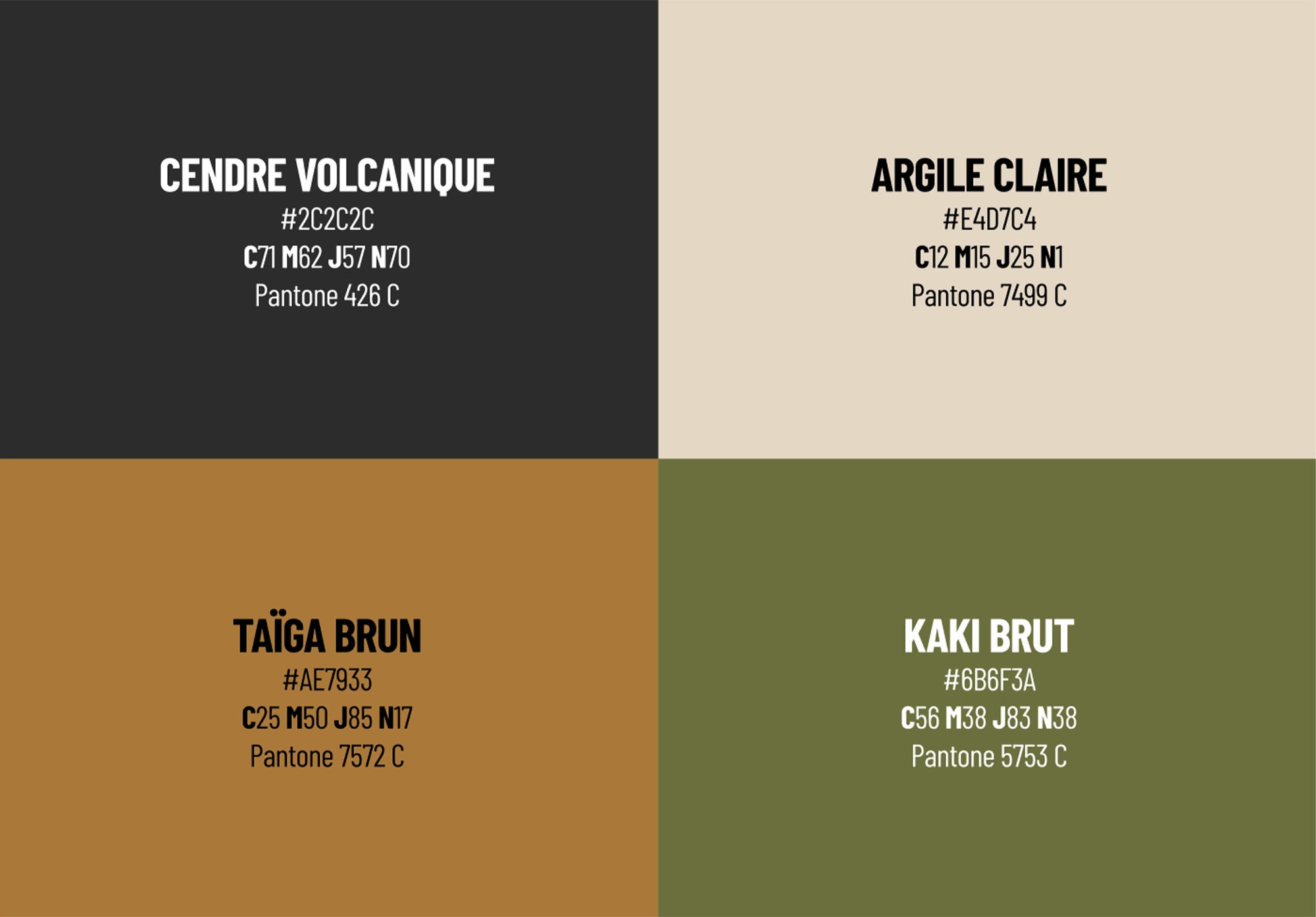 Palette principale de la charte graphique Swisskings avec les teintes noir volcanique, arêle claire, taïga brun et kaki brut