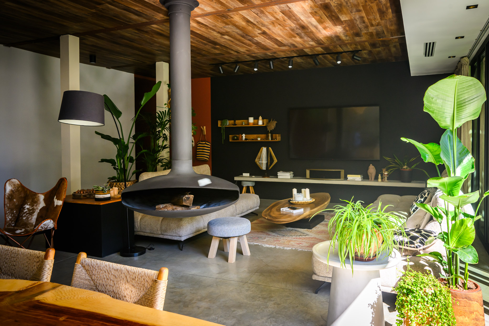 Salon du loft de Carpentras avec cheminée suspendue, poutres en bois et décoration végétale